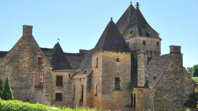 Chateau De Saint Genies