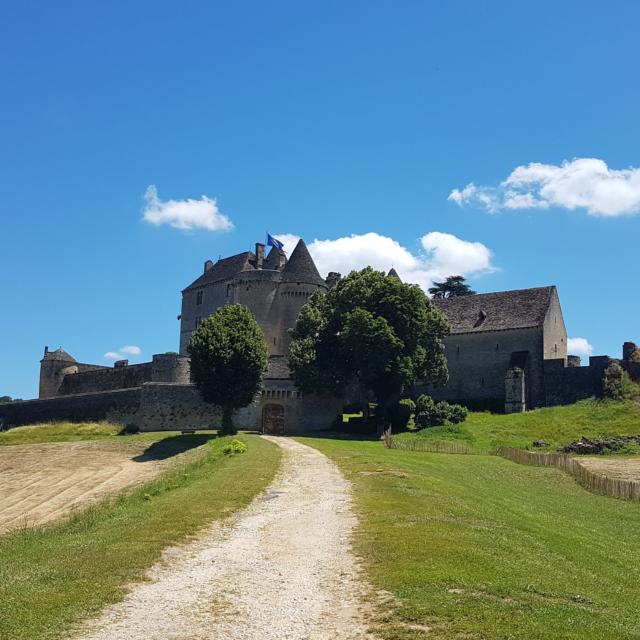 Chateau De Fenelon