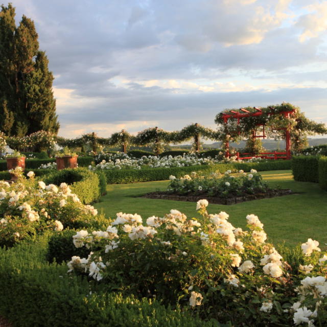 Le Jardin Blanc d'Eyrignac