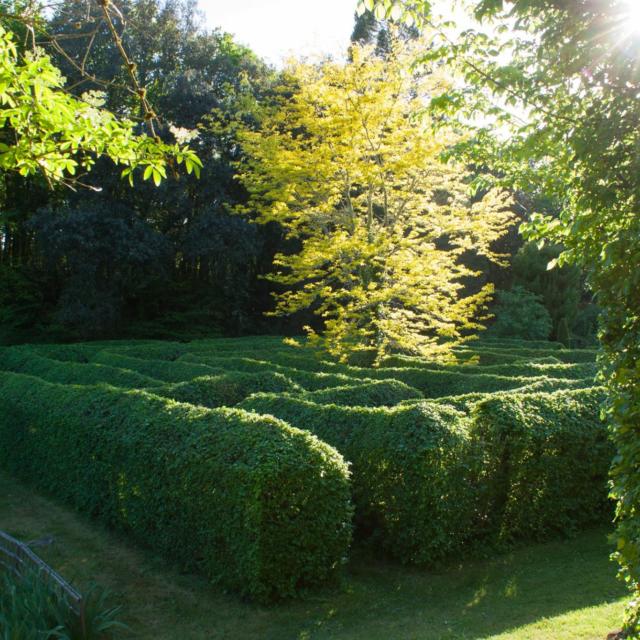 les Jardins de Cadiot : Le Labyrinthe