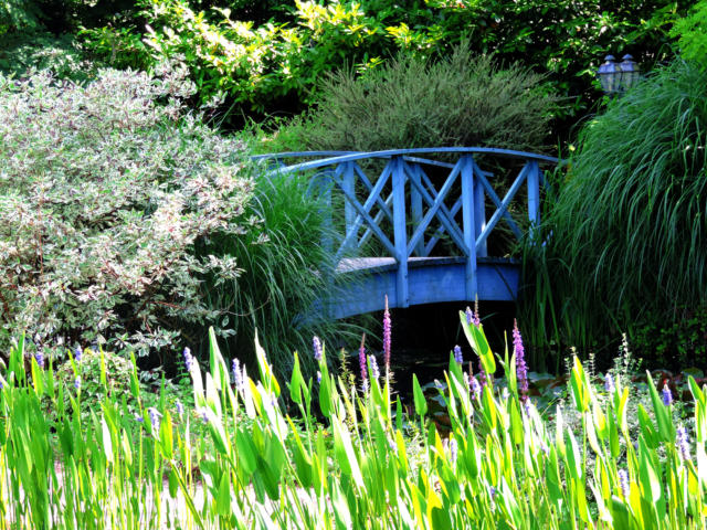 Le Pont Monet