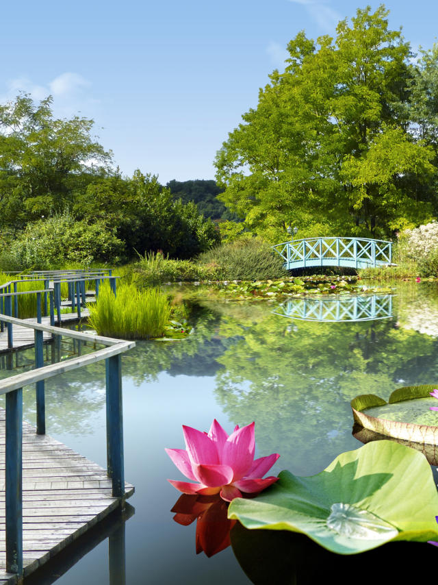 Jardins d'eau de Carsac Guide Touristique 2018