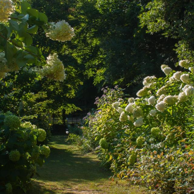 Roseraies Des Jardins De Cadiot