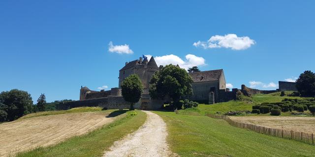 Chateau De Fenelon