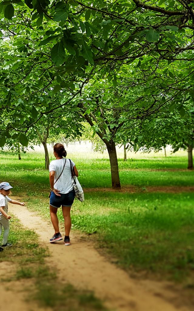 Terra Aventura Saint-Crepin-Carlucet : les Noyerais du périgord