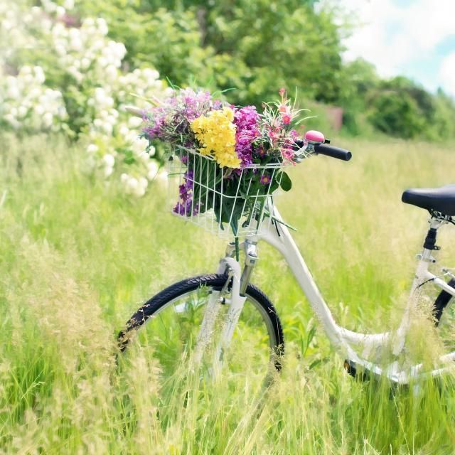 Vélo pleine nature en Périgord Noir