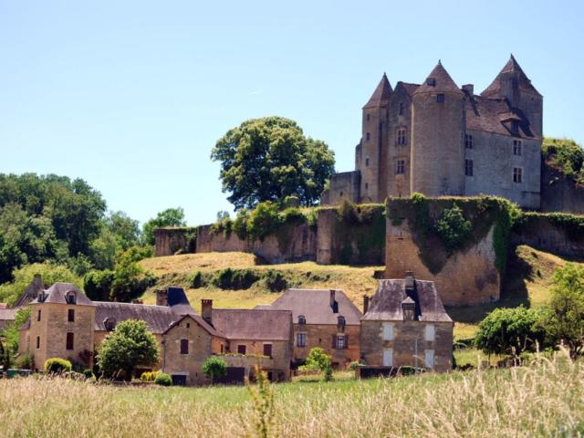 Château de Salignac