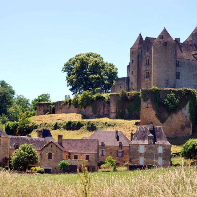 Château de Salignac