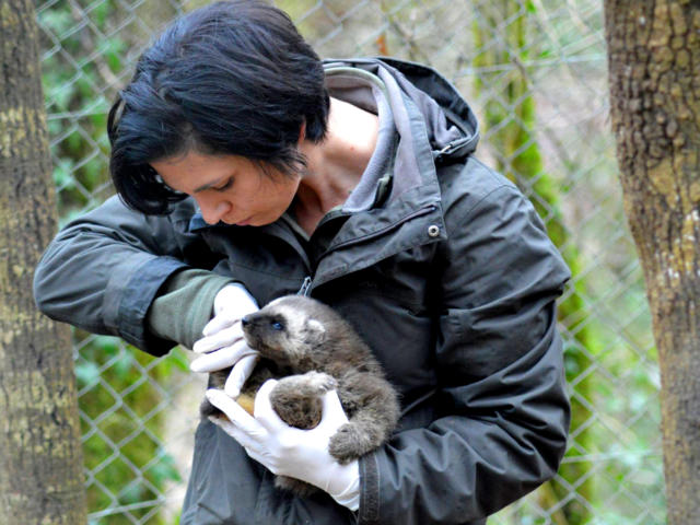 Les équipes passionnés de la Réserves Zoologiques de Calviac