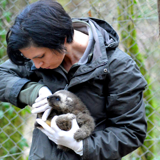 Les équipes passionnés de la Réserves Zoologiques de Calviac