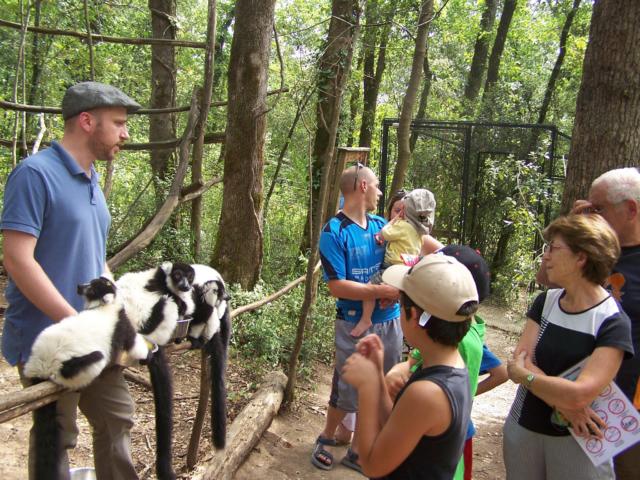 Repas des animaux