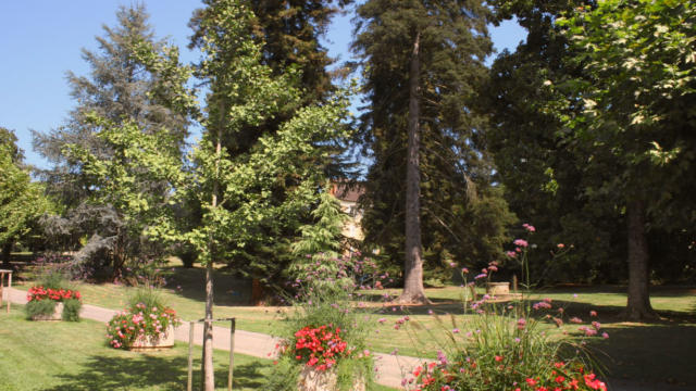 Jardin Du Plantier Sarlat