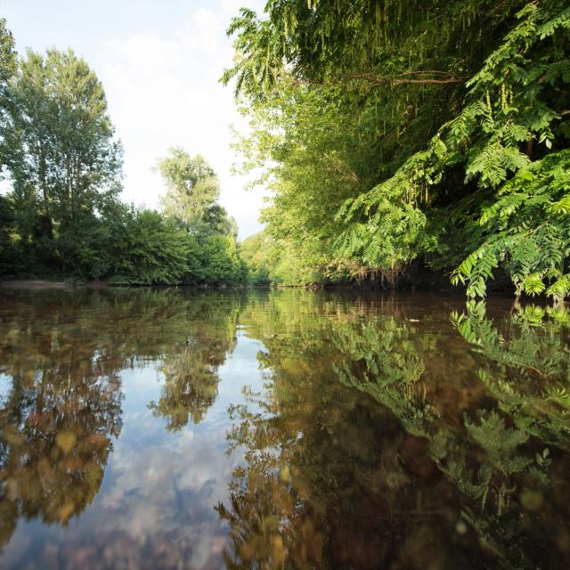 Au bord de la Dordogne