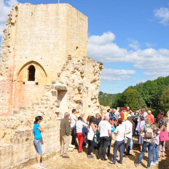 Château de Carlux