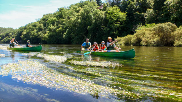 Canoë nature sur la Dordogne