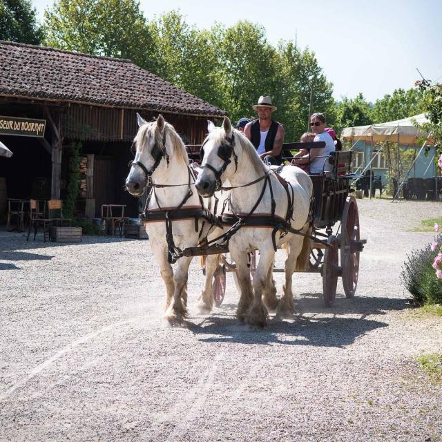 Parc Le Bournat Le Village