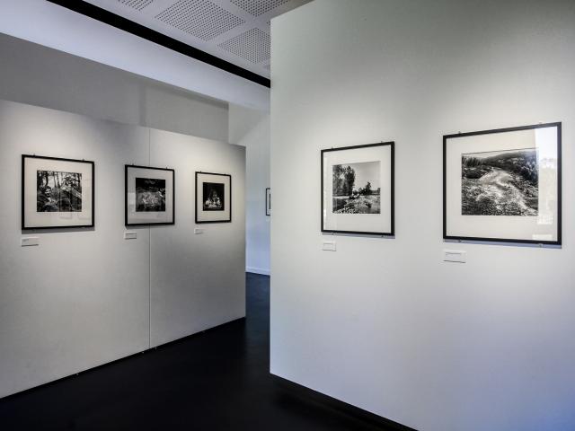 Gare Robert Doisneau Galerie 1d