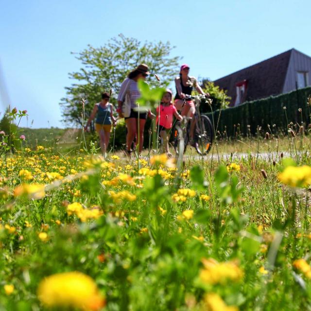 Vélo route, voie verte vallée de la Dordogne