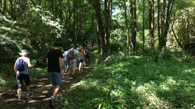 Sur Le Chemin Des Meuniers L'Enea