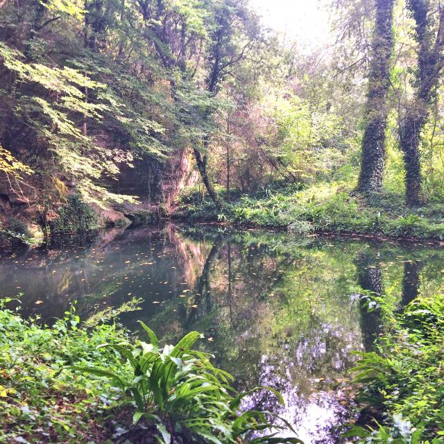 Sur Le Chemin Des Meuniers L'Enea