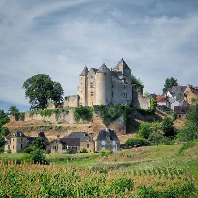 Château de Salignac