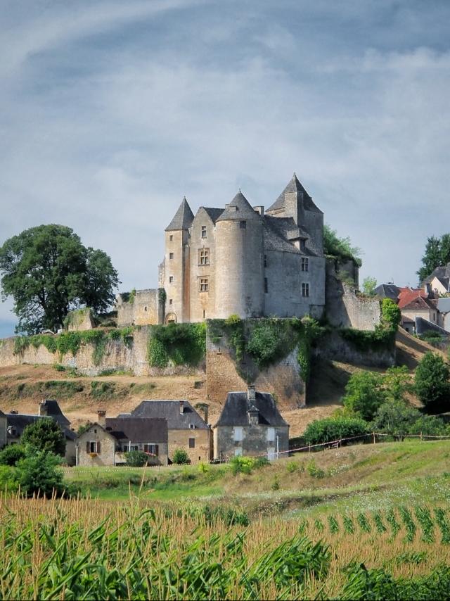 Château de Salignac