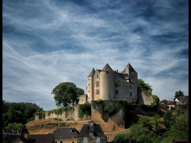 Château de Salignac