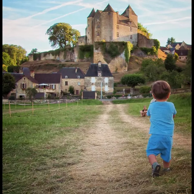 Château de Salignac