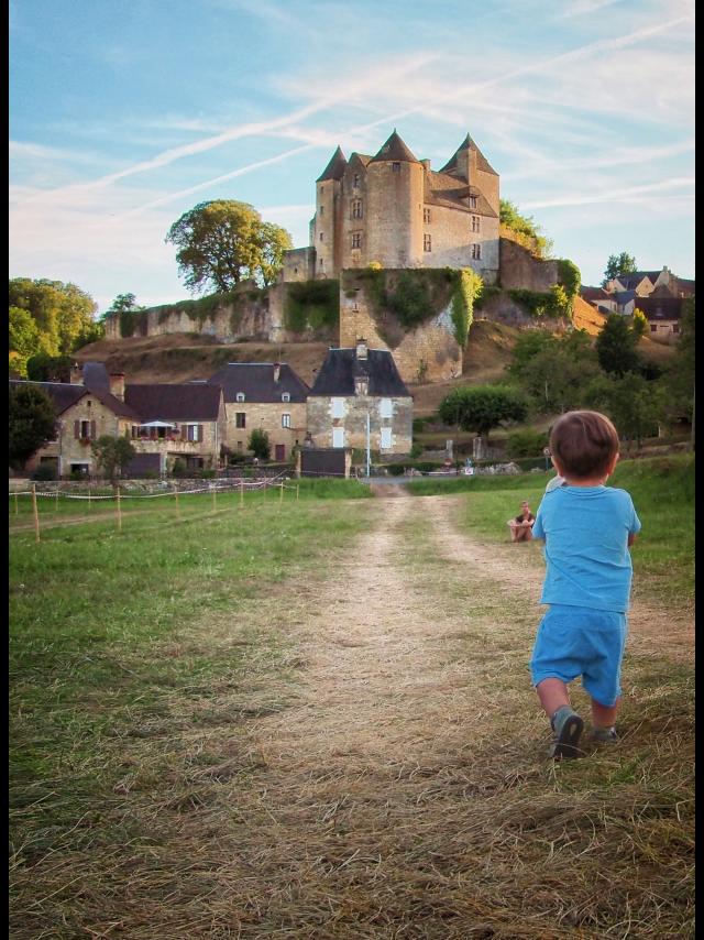 Château de Salignac